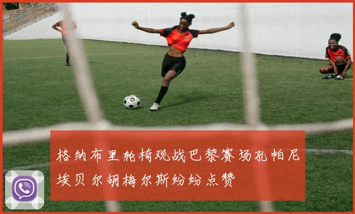 格纳布里轮椅观战巴黎赛场孔帕尼埃贝尔胡梅尔斯纷纷点赞